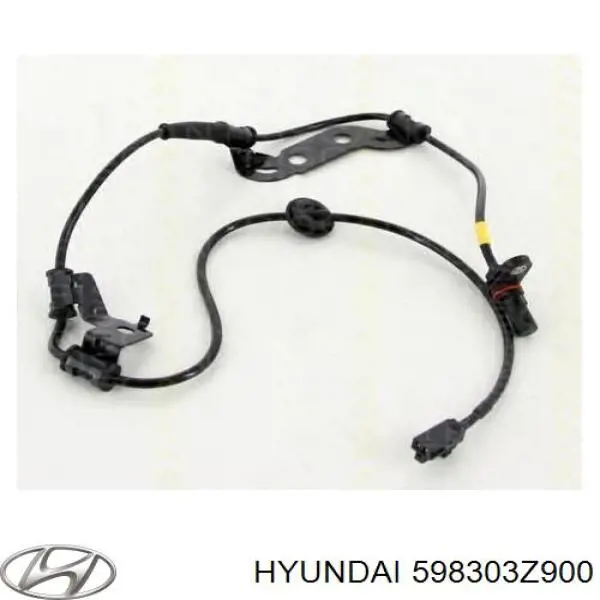 598303Z900 Hyundai/Kia 