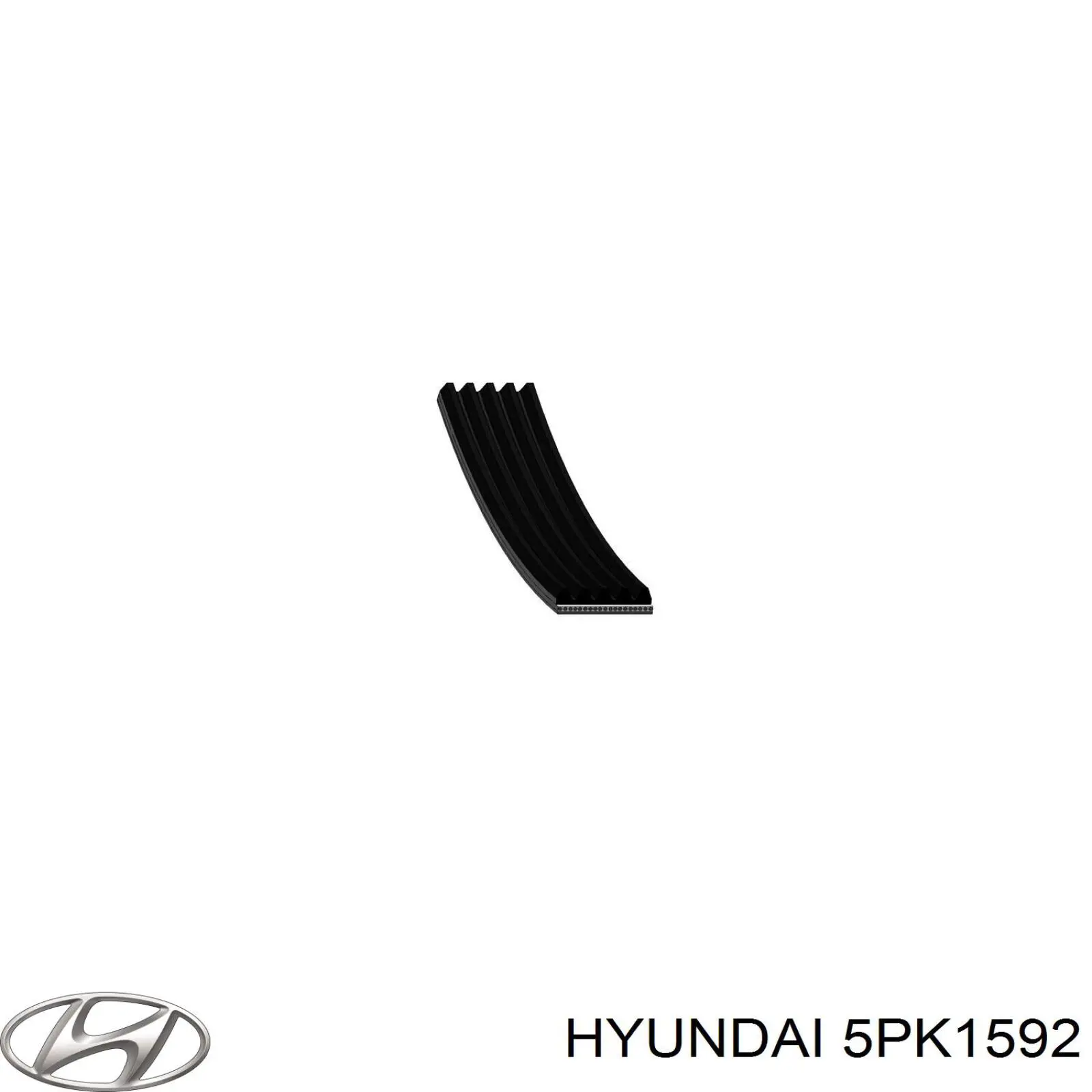 Ремень генератора 5PK1592 Hyundai/Kia