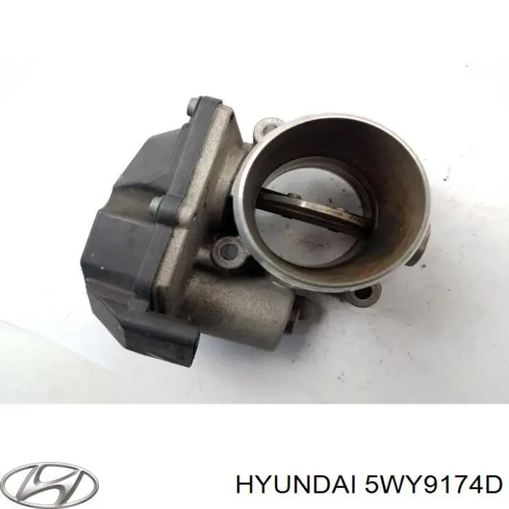 5WY9174D Hyundai/Kia 