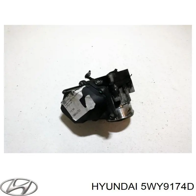 Дроссельная заслонка 5WY9174D Hyundai/Kia