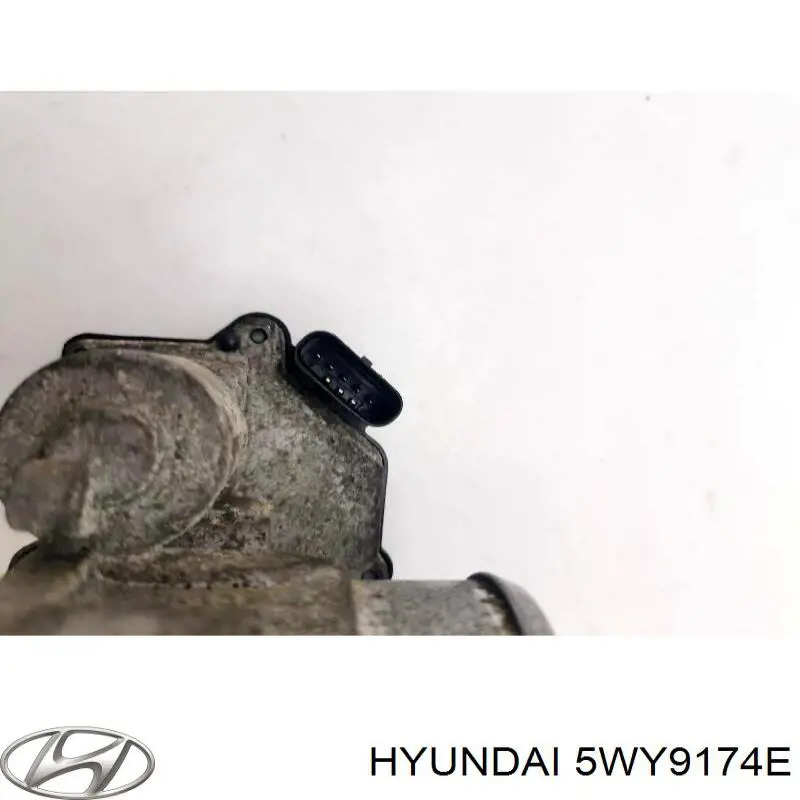 Купить 5WY9174E Hyundai/Kia Блок дроссельной заслонки