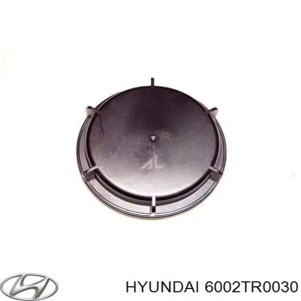  6002TR0030 Hyundai/Kia