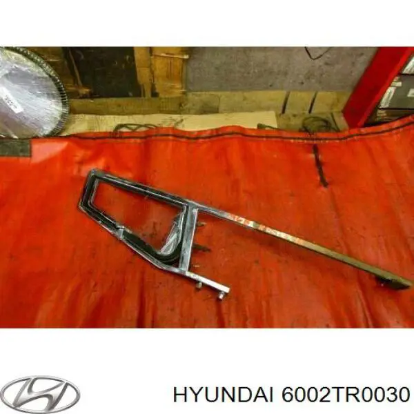 6002TR0030 Hyundai/Kia 