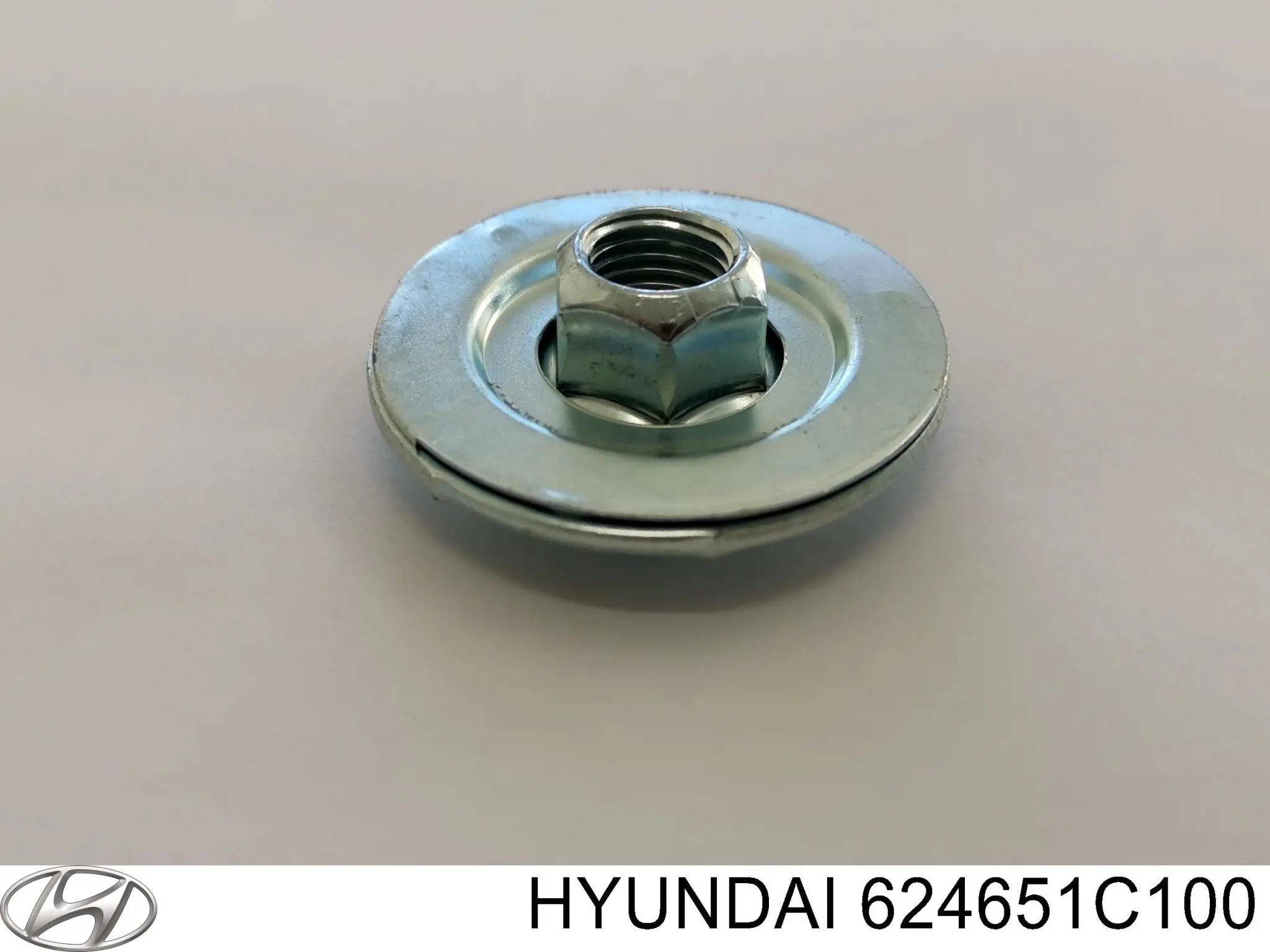  Hyundai/Kia 624651C100 цена, от 19.89 USD