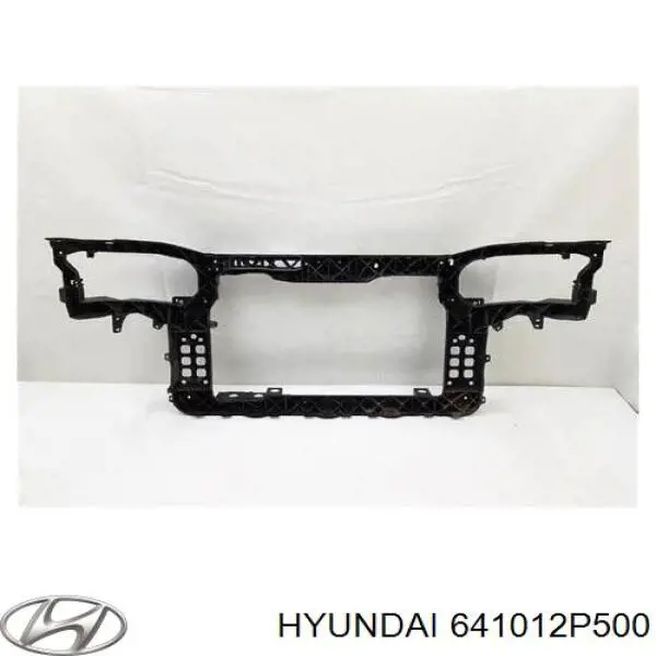 Панель передняя Hyundai/Kia 641012P500 цена, от 322.44 USD