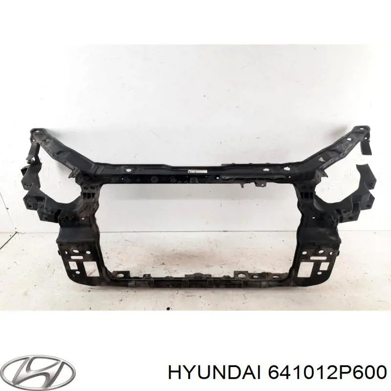 Панель передняя Hyundai/Kia 641012P600 цена, от 554.47 USD