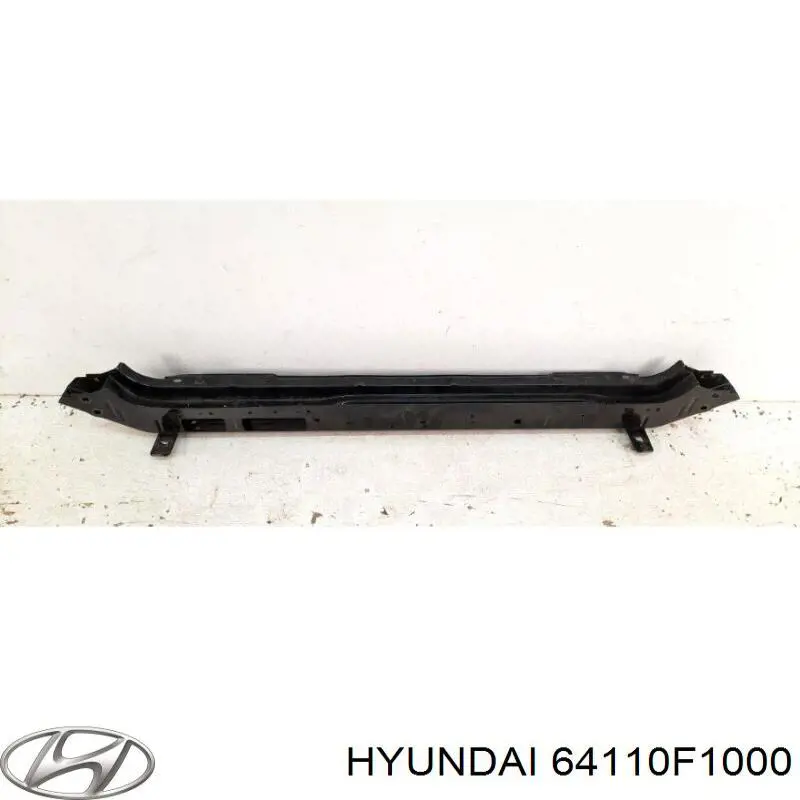 64110F1000 Hyundai/Kia 