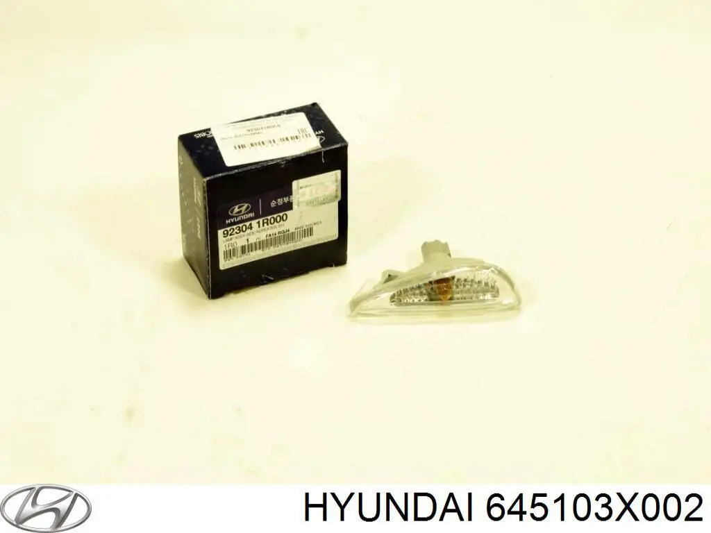 645103X002 Hyundai/Kia арка крыла переднего левого