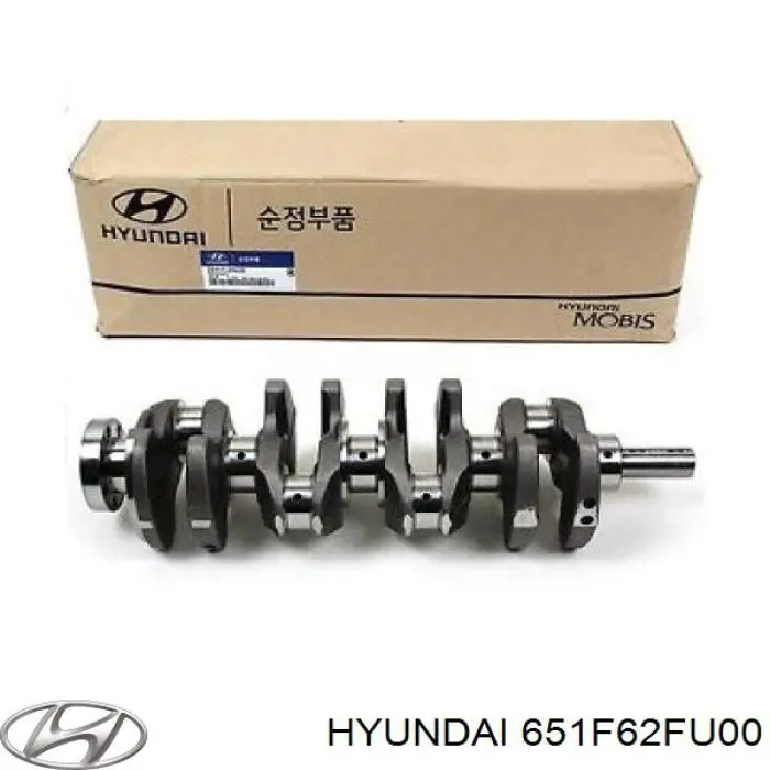 651F62FU00 Hyundai/Kia cambota de motor