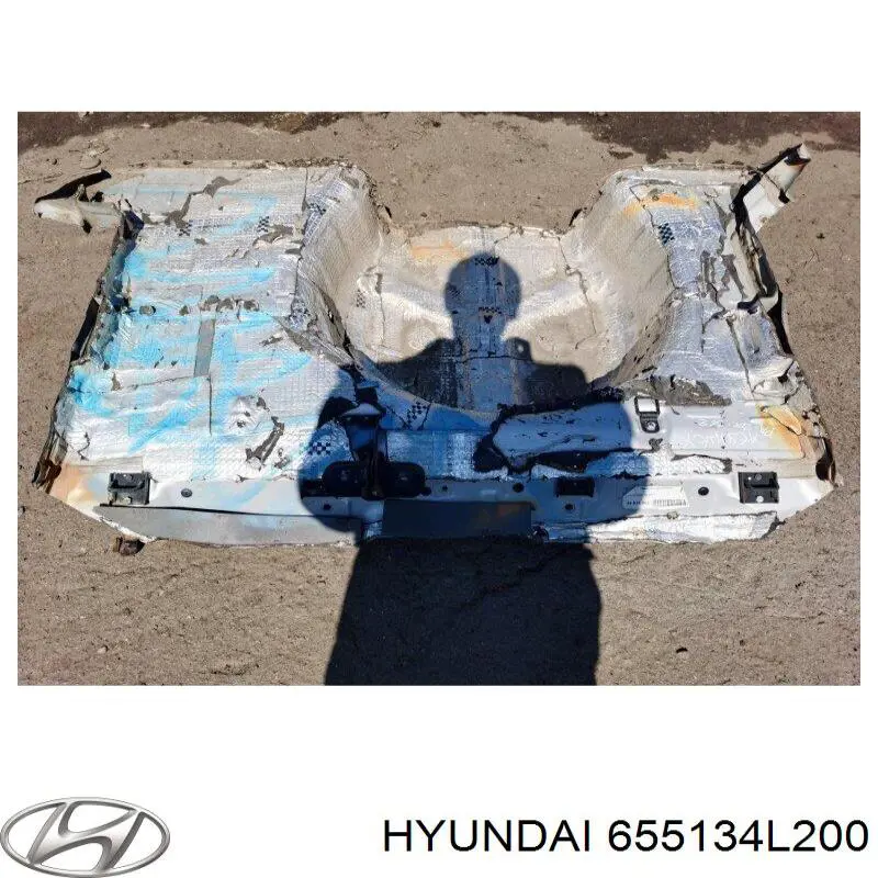 655134L200 Hyundai/Kia днище багажника (ниша запасного колеса)