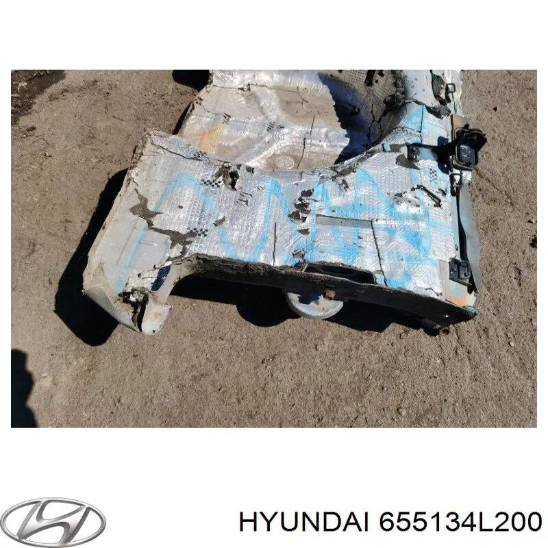 Колесная ниша Hyundai/Kia 655134L200 цена, от 69.44 USD
