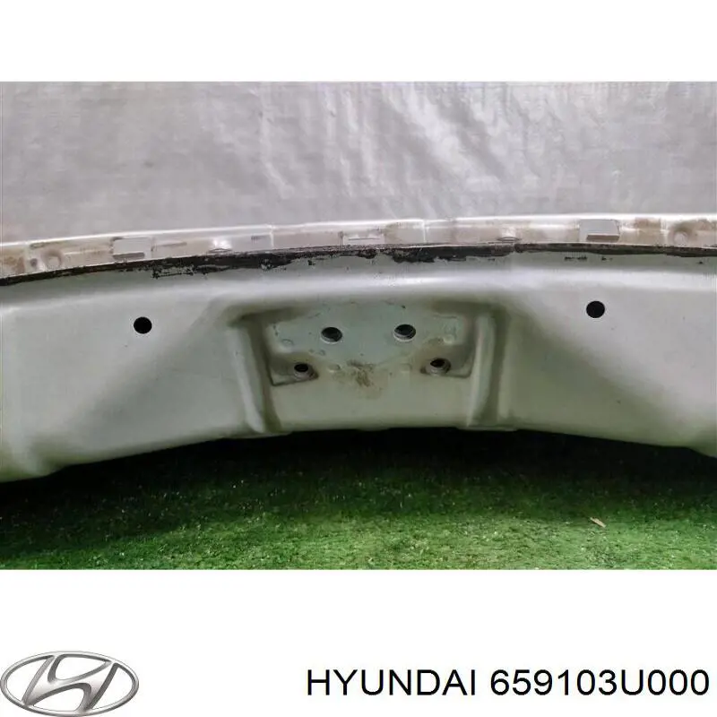 Купить 659103U000 Hyundai/Kia Панель задняя, багажного отсека