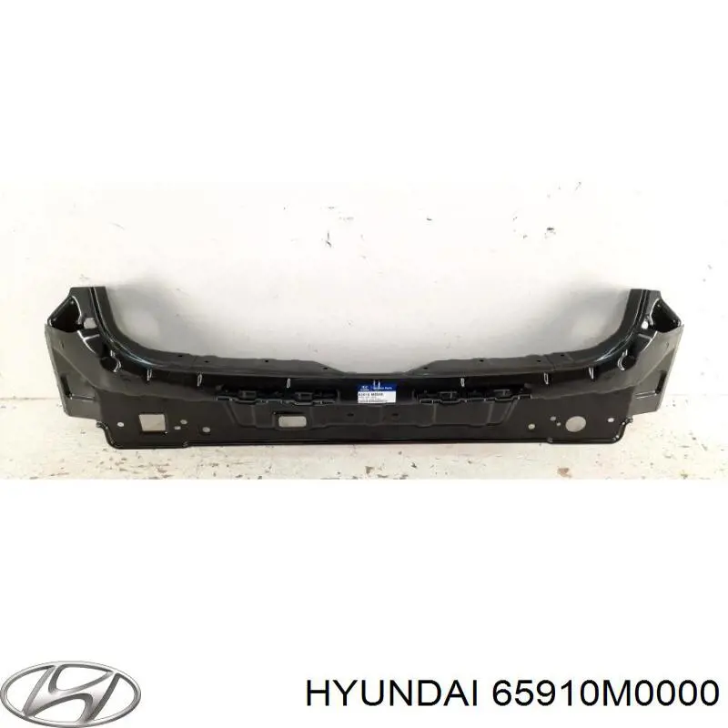 65910M0000 Hyundai/Kia 