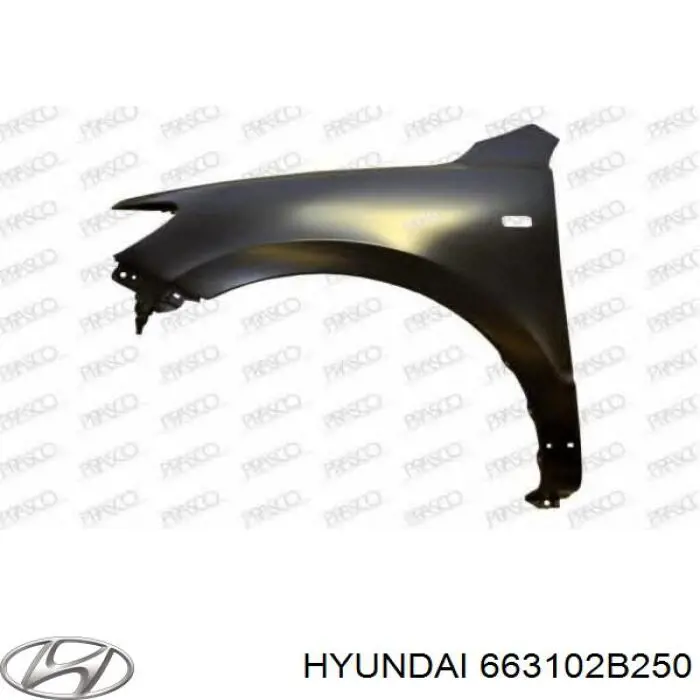 663102B250 Hyundai/Kia pára-lama dianteiro esquerdo