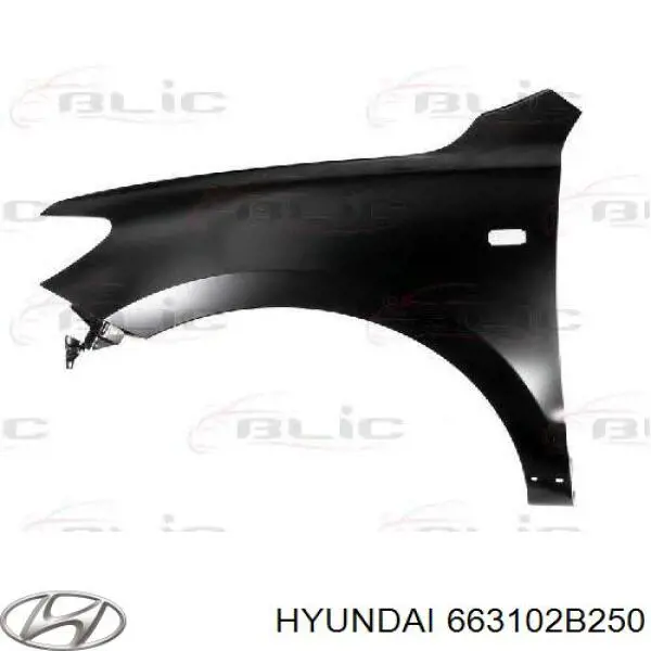 Купить 663102B250 Hyundai/Kia Крыло переднее левое