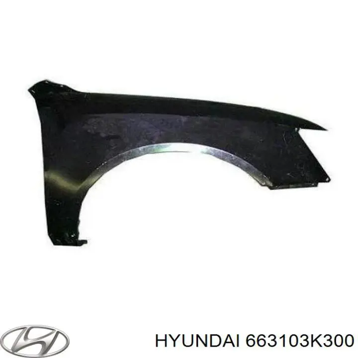 Крыло переднее левое Hyundai/Kia 663103K300 цена, от 21.06 USD