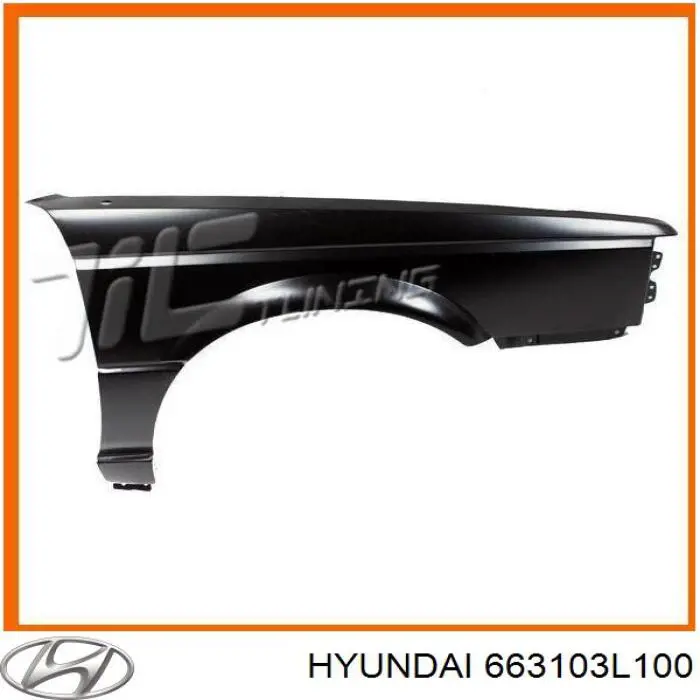 Купить 663103L100 Hyundai/Kia 