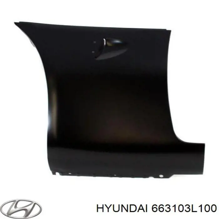  Hyundai/Kia 663103L100