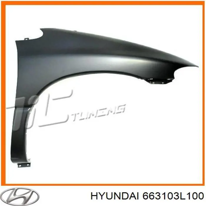  Hyundai/Kia 663103L100 цена, от 192.92 USD