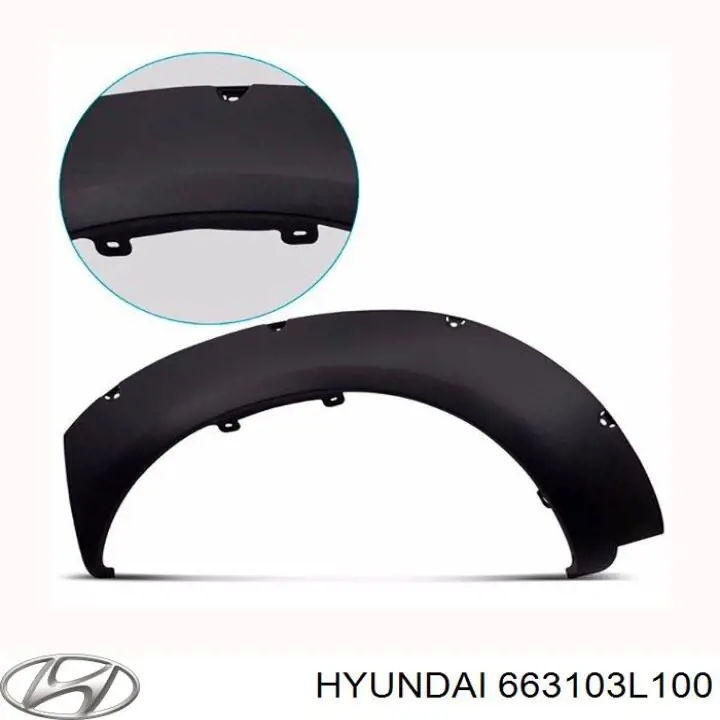  663103L100 Hyundai/Kia
