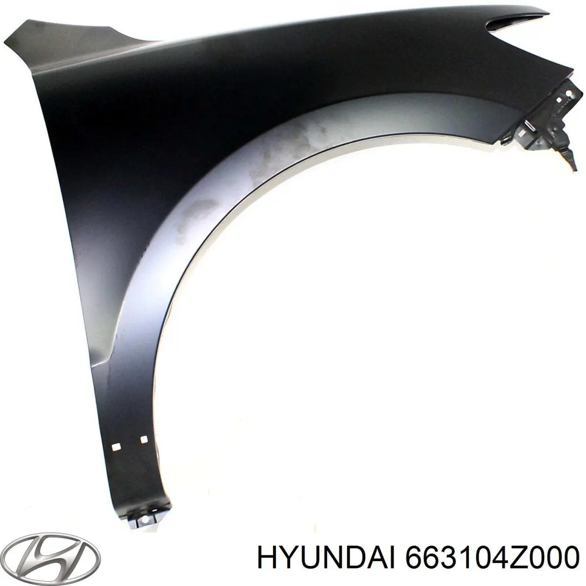 663104Z000 Hyundai/Kia pára-lama dianteiro esquerdo