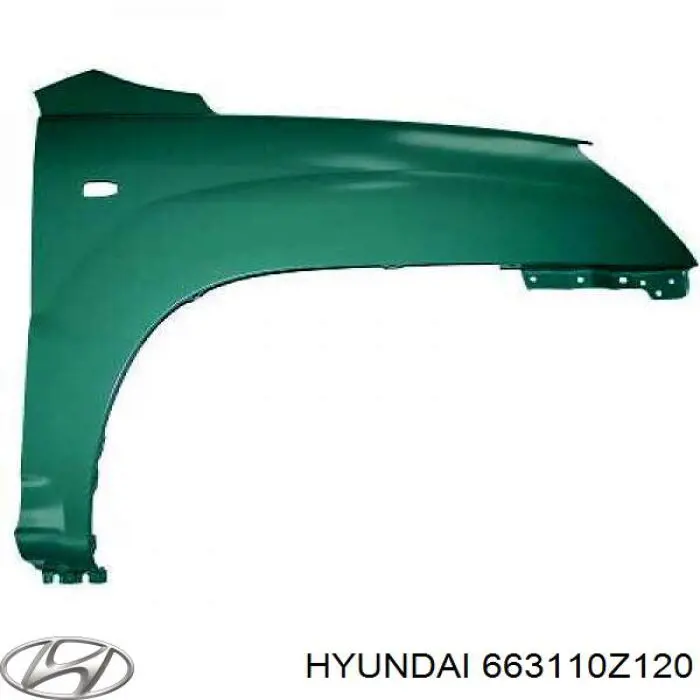 663110Z120 Hyundai/Kia 