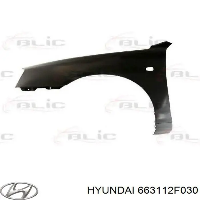 Pára-lama dianteiro esquerdo 663112F030 Hyundai/Kia