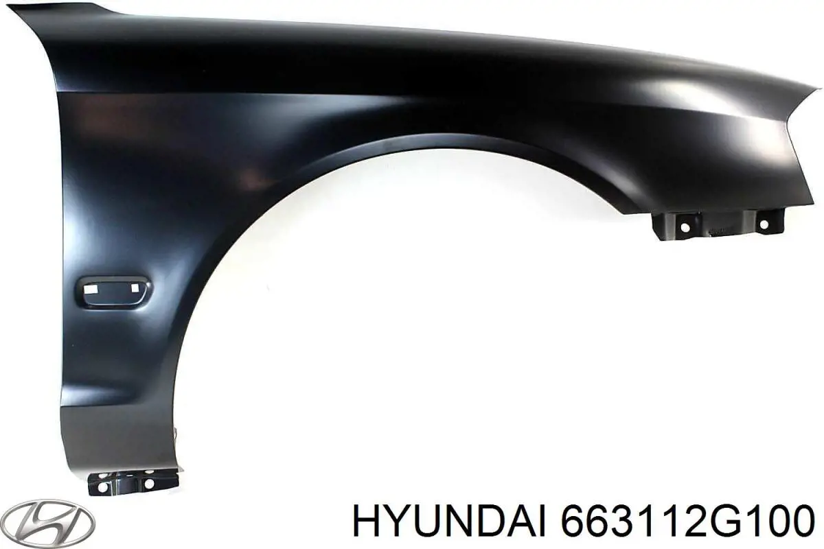  663112G100 Hyundai/Kia