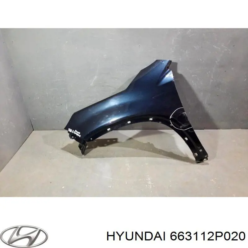 663112P020 Hyundai/Kia pára-lama dianteiro esquerdo