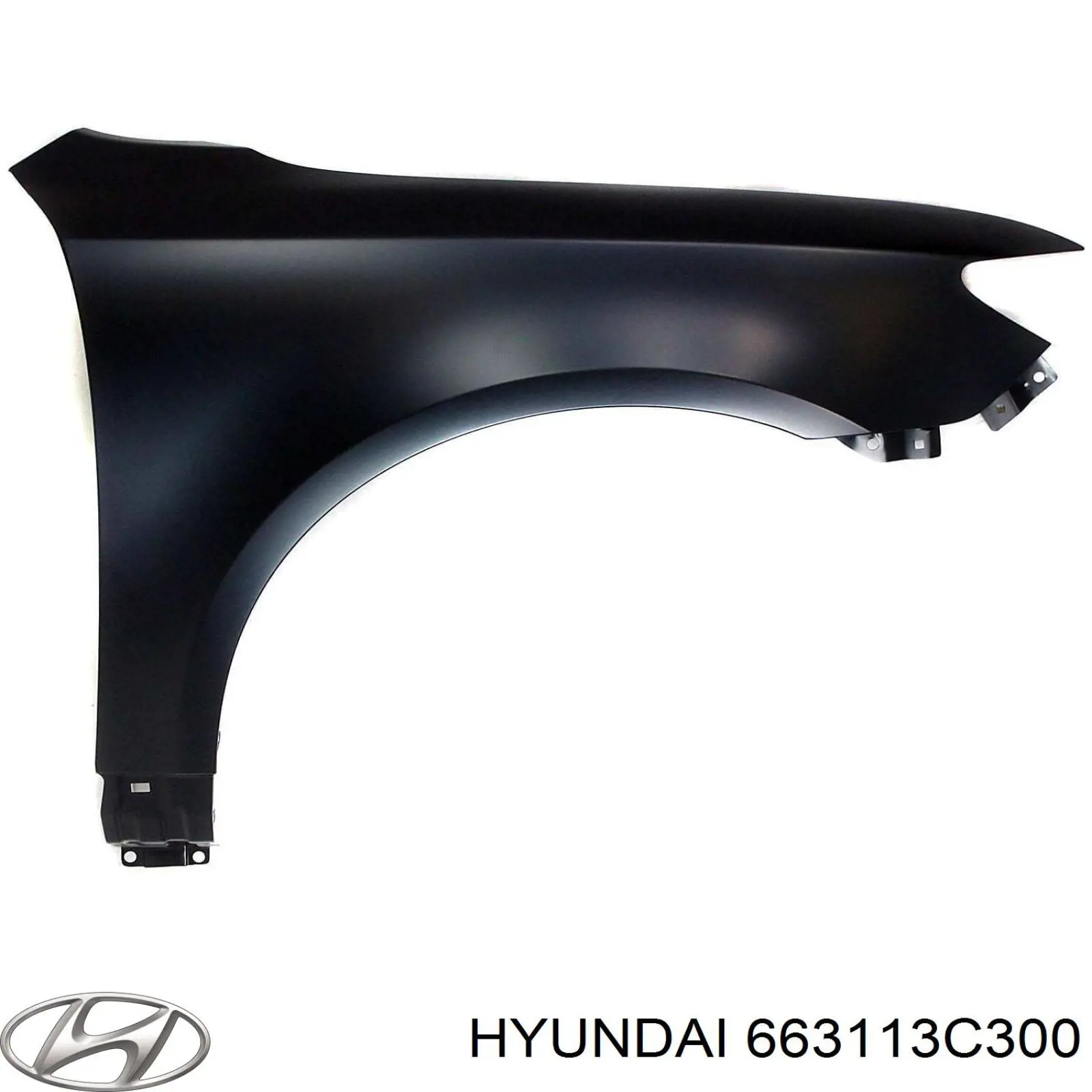 663113C030 Hyundai/Kia крыло переднее левое