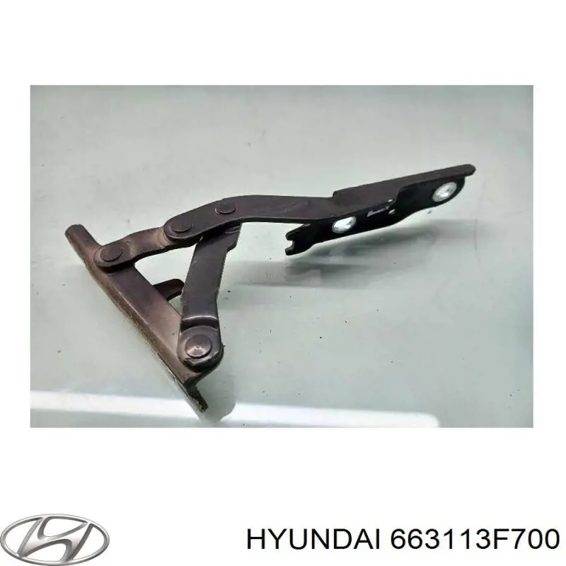 Крыло левое Hyundai/Kia 663113F700