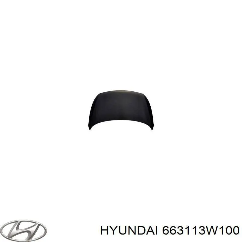 663113W100 Hyundai/Kia pára-lama dianteiro esquerdo