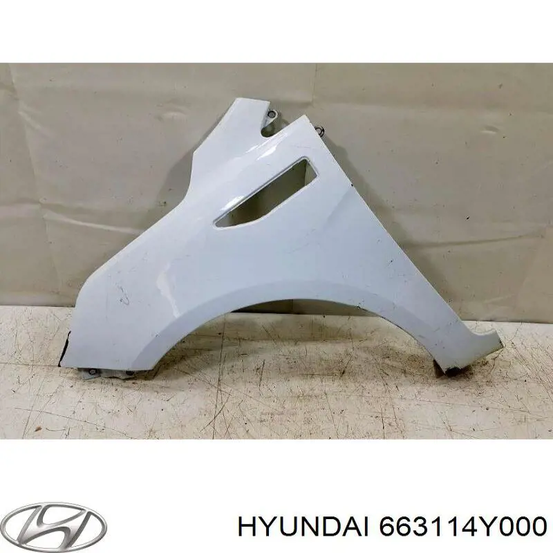 Крыло переднее левое FPS 4029311 цена, от 34.90 USD