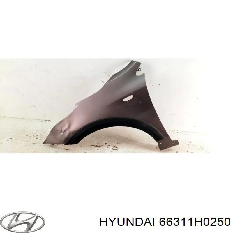  66311H0250 Hyundai/Kia