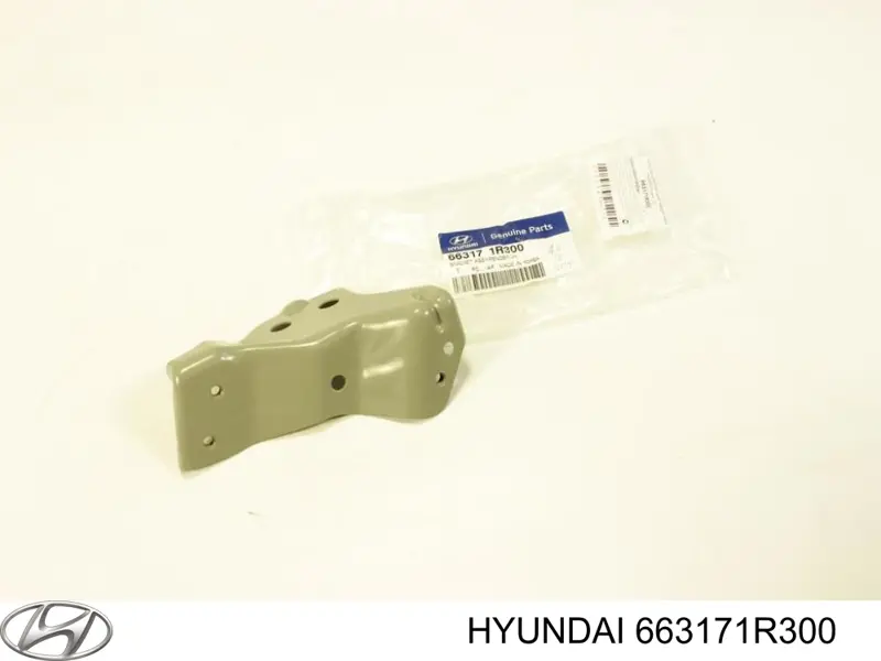 Кронштейн крепления крыла переднего левого передний Hyundai/Kia 663171R300 цена, от 7.60 USD