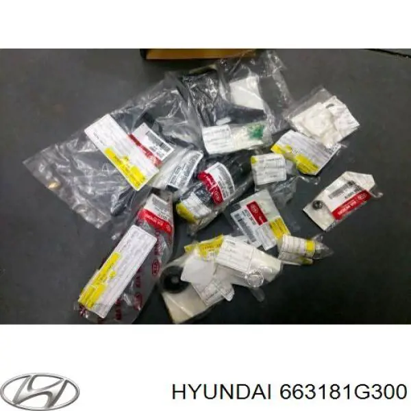 663181G300 Hyundai/Kia 