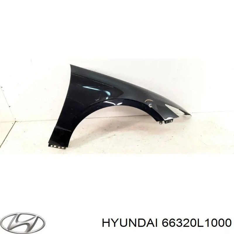 66320L1000 Hyundai/Kia 