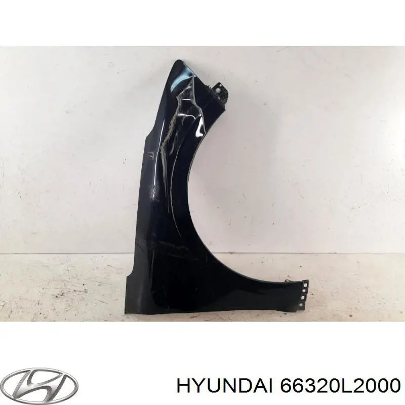 Боковая часть передняя правая Hyundai/Kia 66320L2000 цена, от 102.71 USD