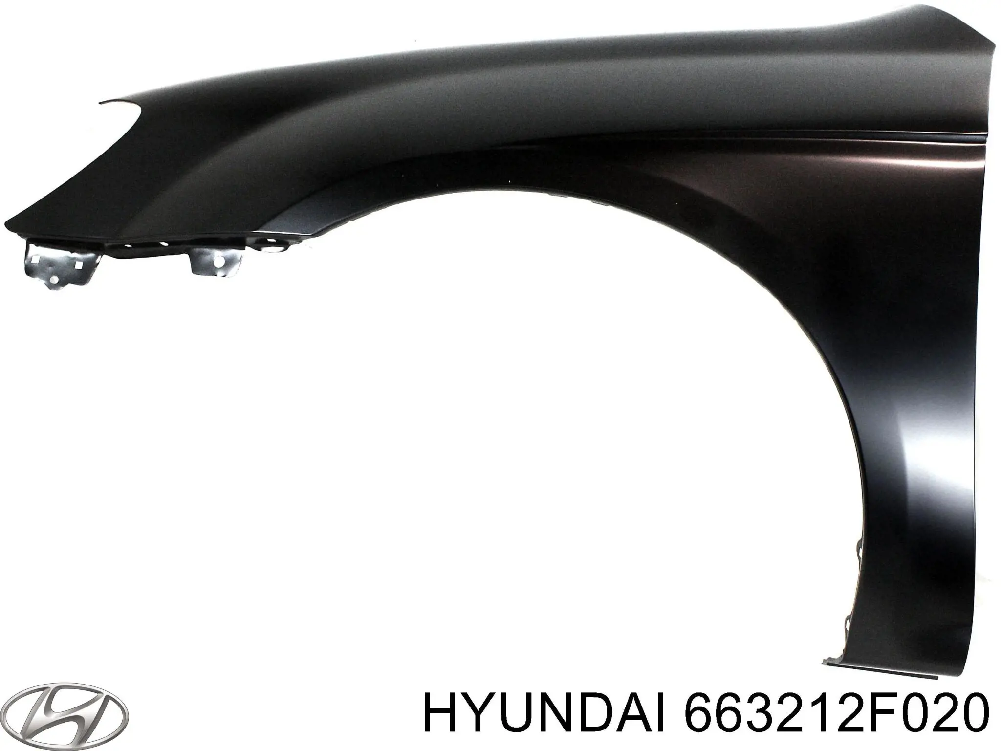 663212F020 Hyundai/Kia pára-lama dianteiro direito
