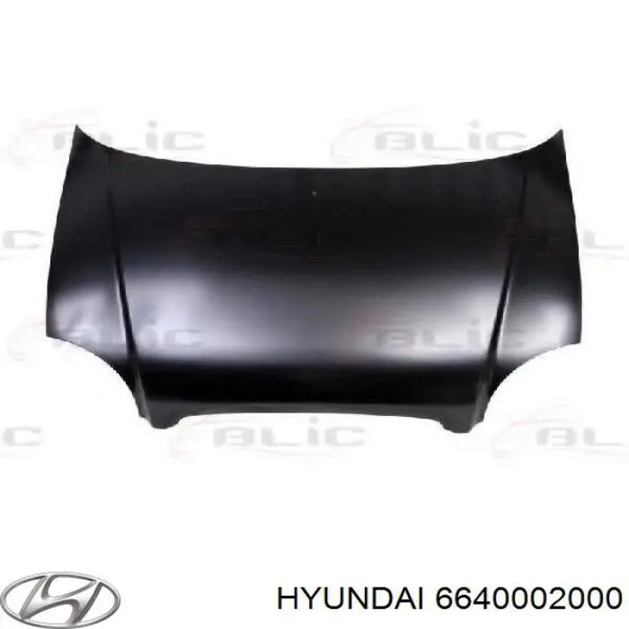 Капот 6640002000 Hyundai/Kia