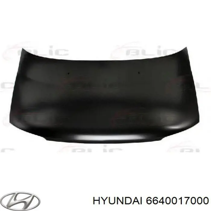 6640017000 Hyundai/Kia капот