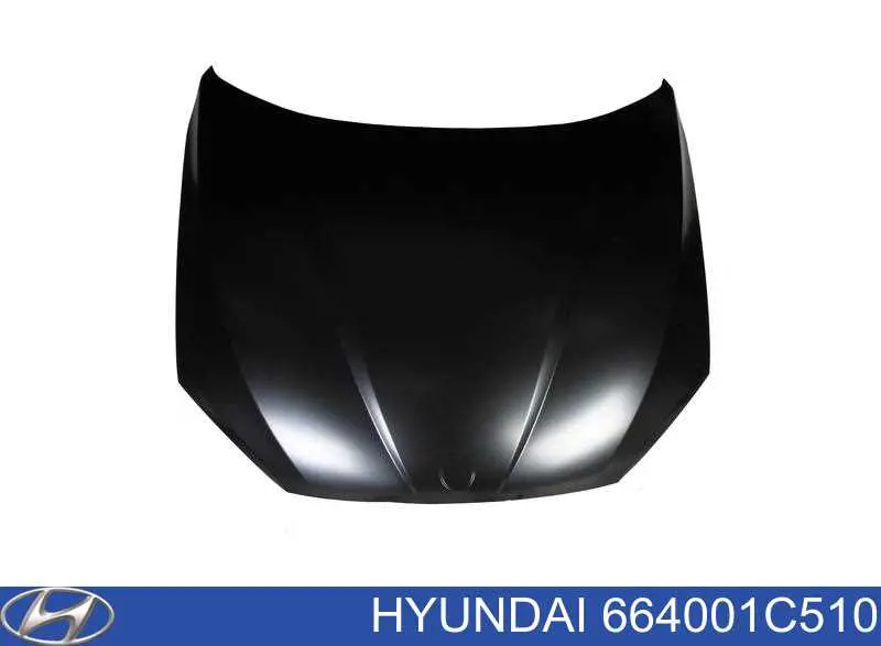 664001C510 Hyundai/Kia capota