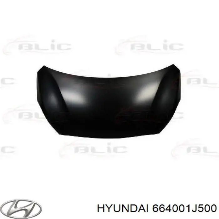 664001J500 Hyundai/Kia capota