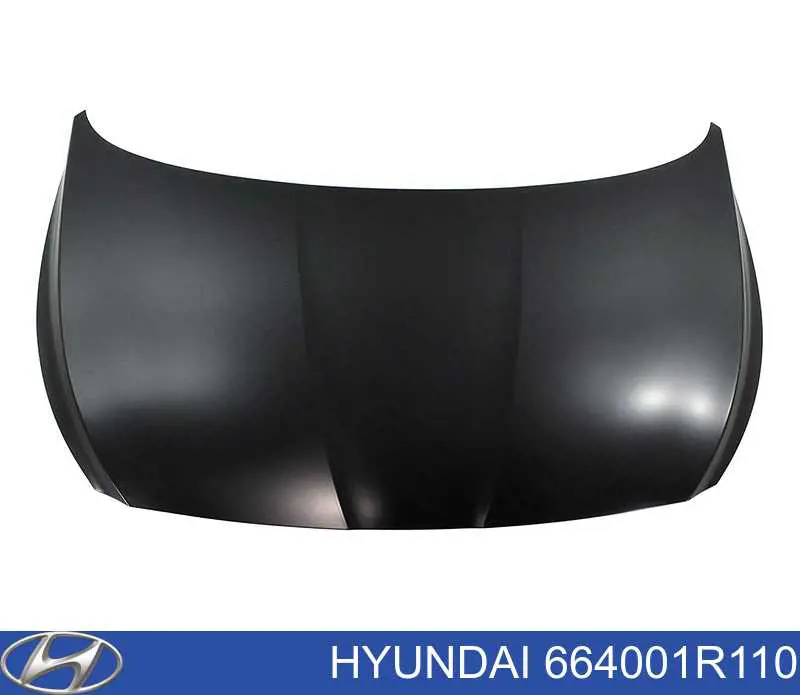 664001R110 Hyundai/Kia capota