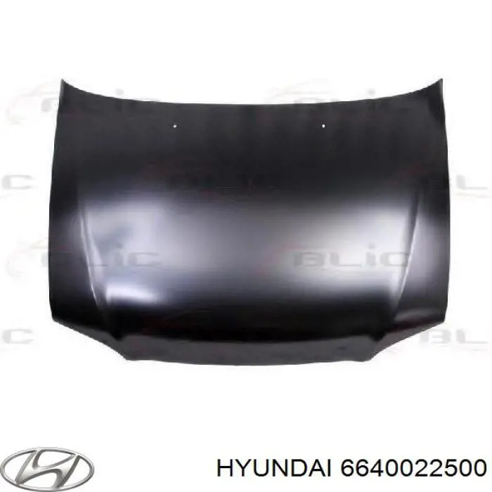 Капот 6640022500 Hyundai/Kia