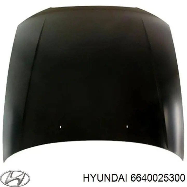 Купить 6640025300 Hyundai/Kia Капот