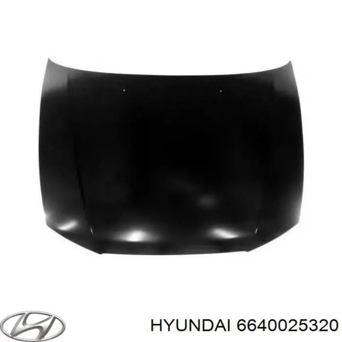 6640025300 Hyundai/Kia капот