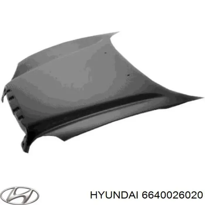 6640026020 Hyundai/Kia капот