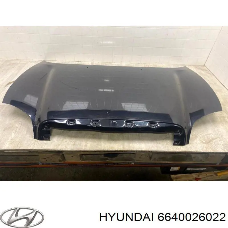 Капот Hyundai/Kia 6640026022 цена, от 132.77 USD