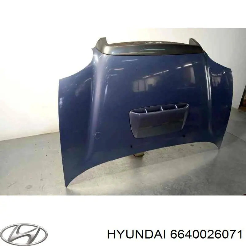 Купить 6640026070 Hyundai/Kia Капот